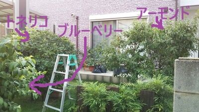1bd49379-s