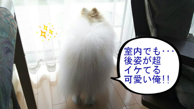 BlogPaint