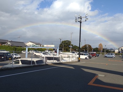 IMG_20241127_135358861