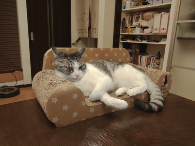 IMG_20210602_204715662