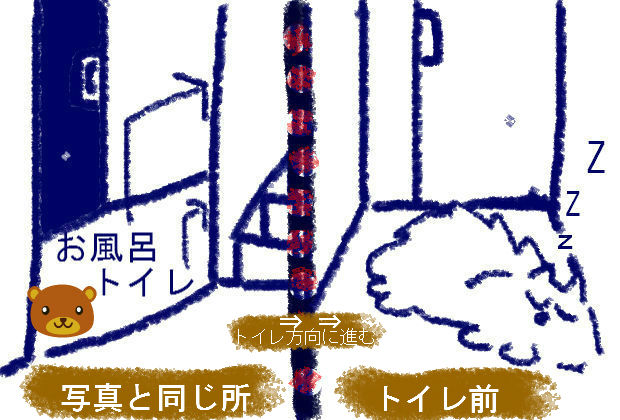 Dori Ichi Bii の家 愛愛しいぽん太郎君 Dori Ichi Bii の家 愛愛しいぽん太郎君
