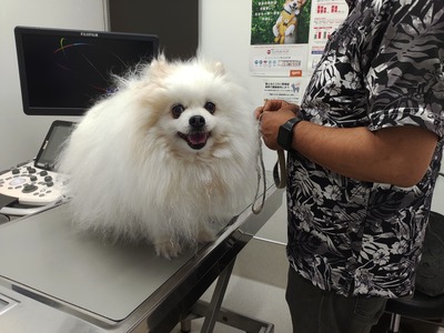 IMG_20250528_112855567