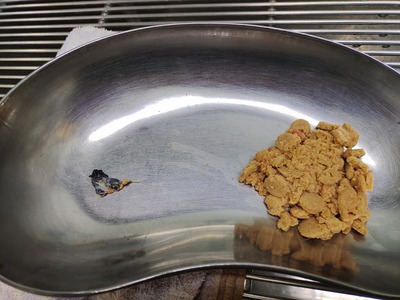 IMG_20231030_095930231_1