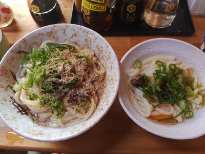 IMG_20251208_130253722