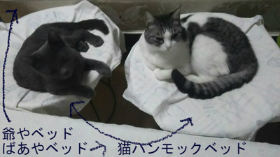 BlogPaint