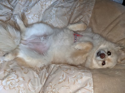 PXL_20210530_145841868