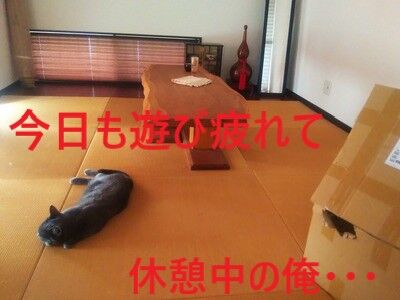d47244a9-s