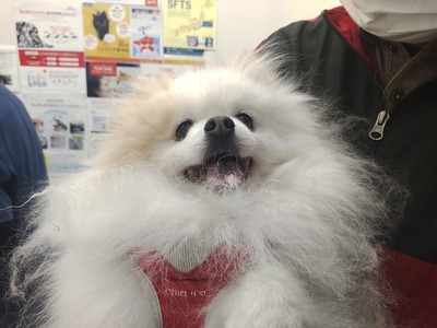 IMG_20250409_174256280