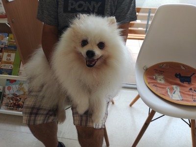 IMG_20240928_085453344