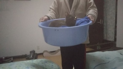 260128_221112_00008877