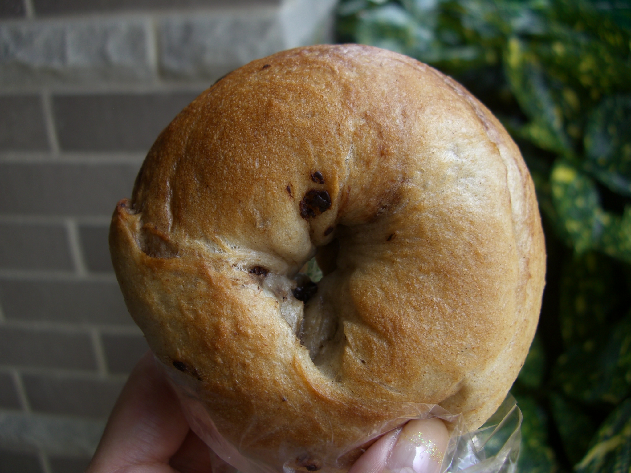 ベーグル大好き サリーシナモン Dorinky S Sweet Oven