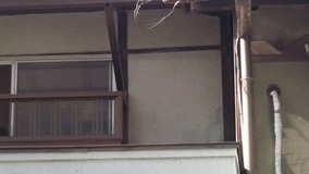 tamako_114