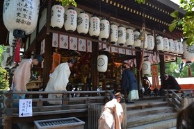 tamako_267