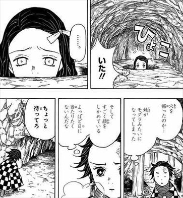 鬼滅の刃1巻 竈門ねず子