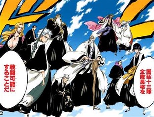 BLEACH35巻 護廷十三隊