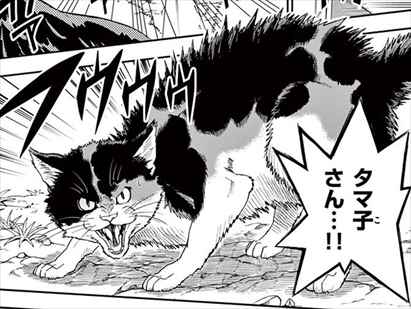 感想 漫画 ねこったけ が猫好き読者におすすめか考察してみた ネタバレ画像あり バズマン 感想 漫画 ねこったけ が猫好き読者におすすめか考察してみた ネタバレ画像あり バズマン