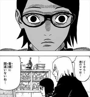 NARUTO外伝 七代目火影と緋色の花つ月 うちはサラダ1