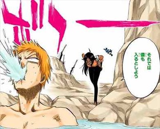 BLEACH15巻 四楓院夜一 文字がピンク