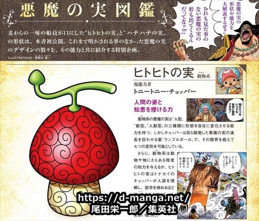 ワンピース考察 悪魔の実の図鑑ってなんぞや バズマン