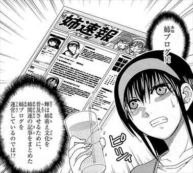 姉ログ 全12巻 ネタバレ感想 田口ケンジのラブコメ漫画が面白いかレビューした 完結まとめ バズマン 姉ログ 全12巻 ネタバレ感想 田口ケンジのラブコメ漫画が面白いかレビューした 完結まとめ バズマン