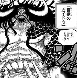 One Piece 79巻 ネタバレ感想 ドレスローザ編ついに完結 そしてカイドウ編へ バズマン