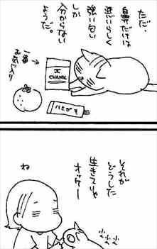 くるねこ 漫画 1巻 感想 捨て猫とオバサンの4コマな和む日常 バズマン