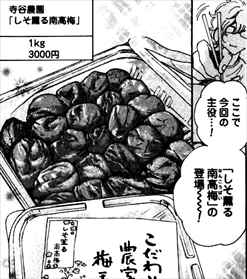 おとりよせ王子 飯田好実 1巻 感想 通販グルメの体現者は草食系イケメン バズマン