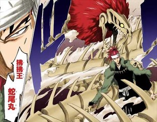 BLEACH17巻 阿散井恋次 狒狒王蛇尾丸