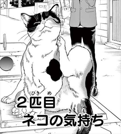 感想 漫画 ねこったけ が猫好き読者におすすめか考察してみた ネタバレ画像あり バズマン 感想 漫画 ねこったけ が猫好き読者におすすめか考察してみた ネタバレ画像あり バズマン