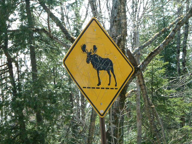 アメリカ東部の旅 Take It Easy のんびりいこうよ