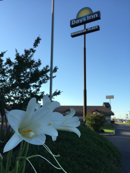 C2C9F144-1CEF-4DD0-B0E8-8B087CB993F0