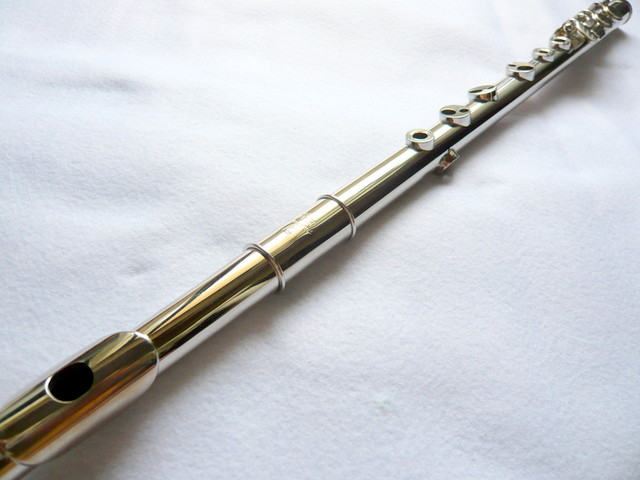 フォークフルートって 何 拙者 一六三または一六四