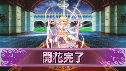 リッピア_開花