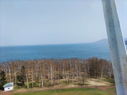 IMG_20240427_123202~2_copy_3048x2286