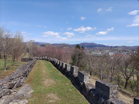 IMG_20240429_095706_copy_2320x1740