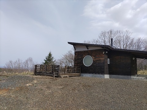 IMG_20230504_082056_copy_913x684