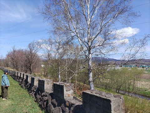 IMG_20240429_094344_copy_1140x855