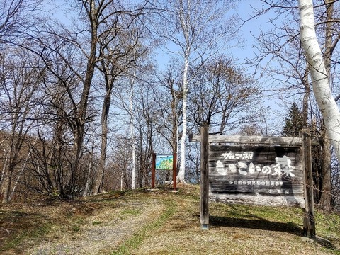 IMG_20240427_121208~2_copy_832x624