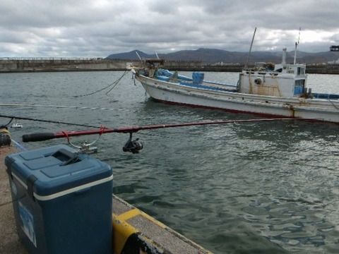 7c8ab398