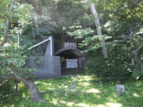 2022_0722_07014257_copy_800x600