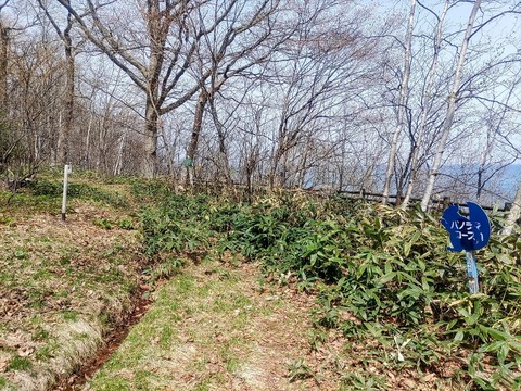 IMG_20240427_121732~2_copy_1012x759