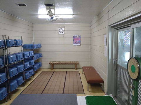 Compress_20250830_135507_7976