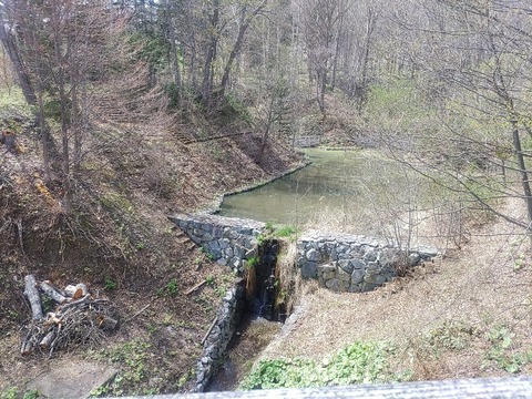 IMG_20240427_121558_copy_1060x795