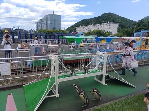 IMG_20230618_110519_copy_832x624