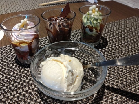 DSC_0018~2_copy_2736x2051