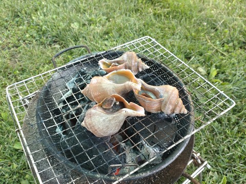 DSC_0085_copy_2000x1500