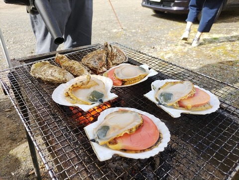 IMG_20230504_074241_copy_796x598