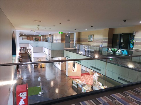 IMG_20240330_075708_copy_3136x2352