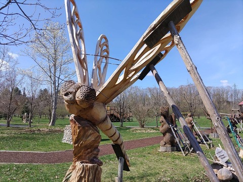 IMG_20240429_093047_copy_1732x1299