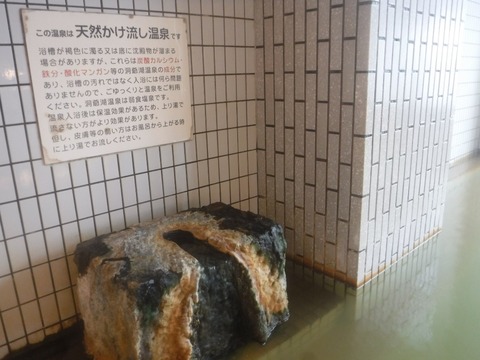 2023_0501_19571639_copy_981x735